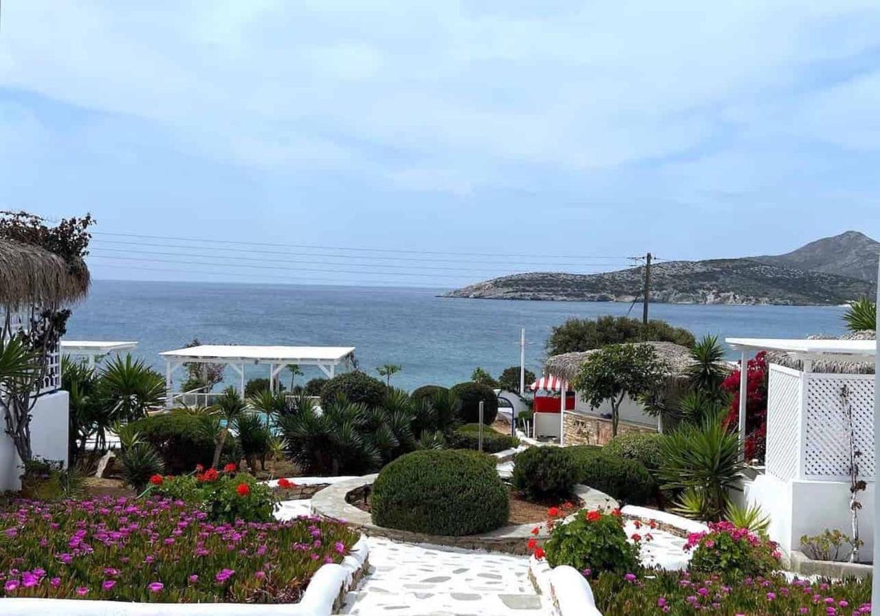 Blue Dolphin Antiparos Villas And Suites Agios Georgios  Eksteriør bilde